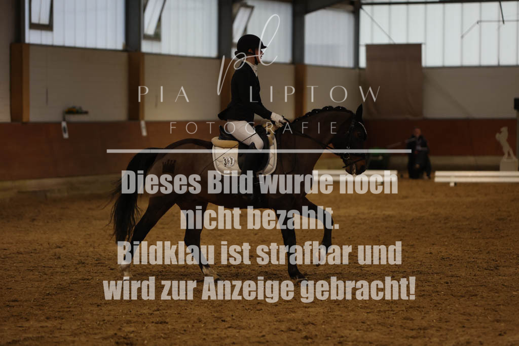 IMGM0547 | pl-fotografie
