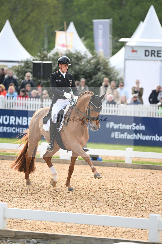 Wandres_Duke of Britain FRH_11232973 | hf-fotografie - Realisiert mit Pictrs.com
