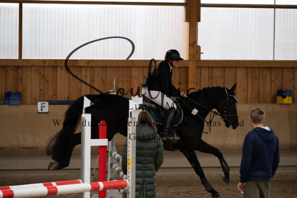 A7V00376 | Pferdefotograf