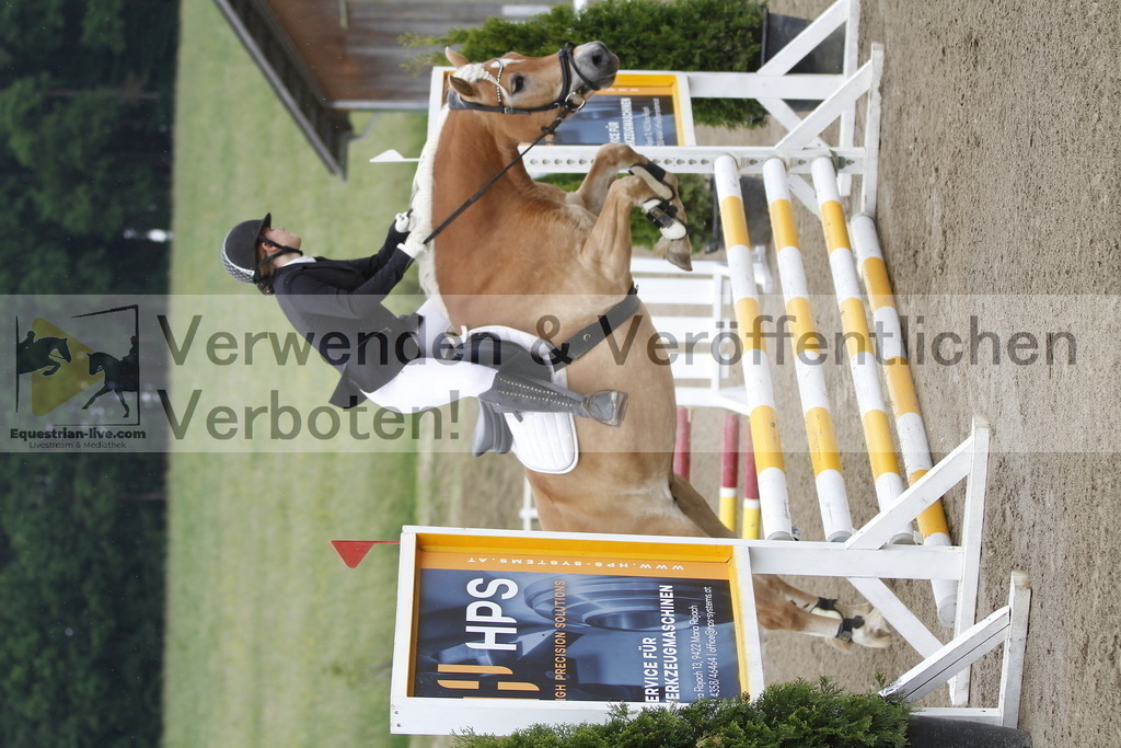 _MG_0013 | equestrian-live-com