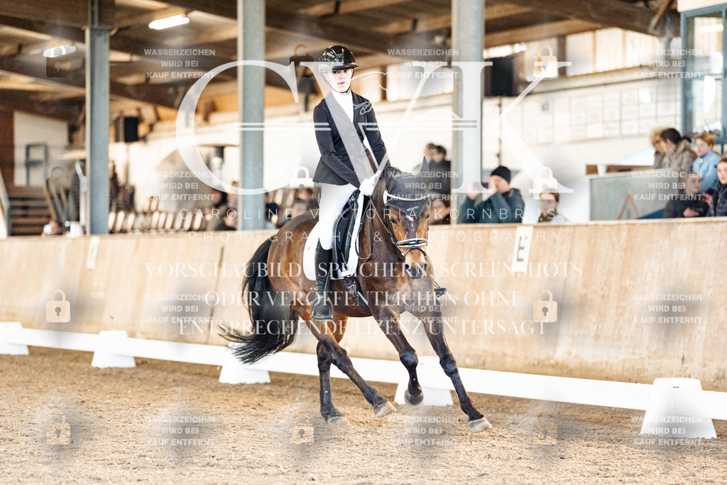 CK908078 | Turnierfotografie Pferdefotografie Trier Rheinland-Pfalz Pferdesport Reitsport Tierfotografie Sportfotografie Pferdevideo Pferdevideografie Equestrianvideography equestrianphotography  - Realisiert mit Pictrs.com