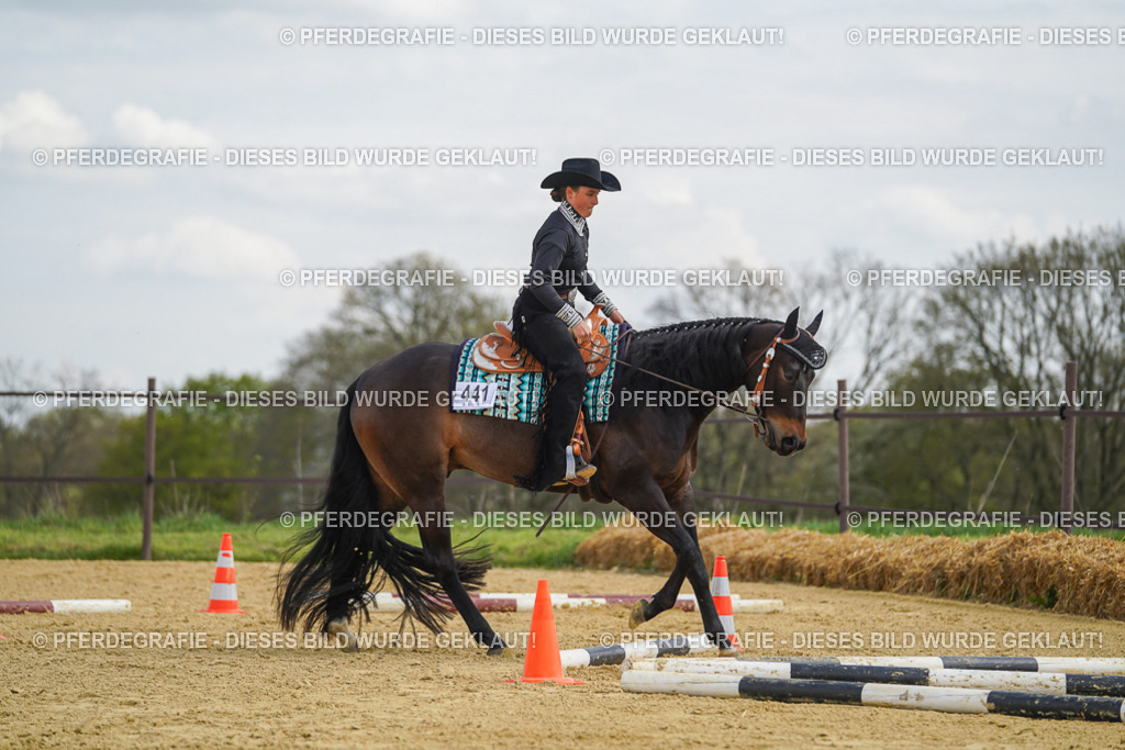 DSC05280 | Pferdegrafie