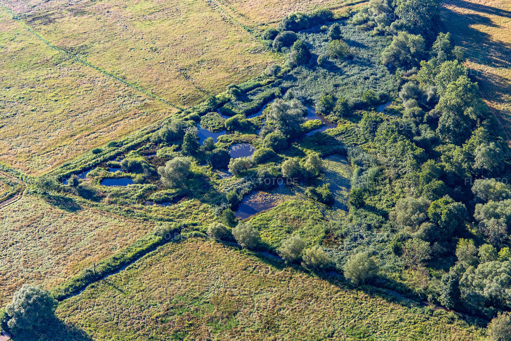 Luftbild: Biotop an der Queich im Ortsteil Niederhochstadt in Hochstadt im Bundesland Rheinland-Pfalz in Deutschland. Foto: IMG_142464.jpg vom 09.07.2024 durch Werner Riehm/FLY-FOTO.de