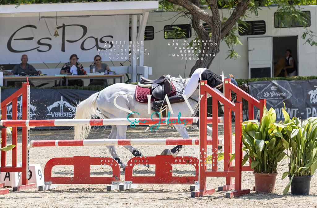 IMG_7977 | s-jay-photography - Realisiert mit Pictrs.com