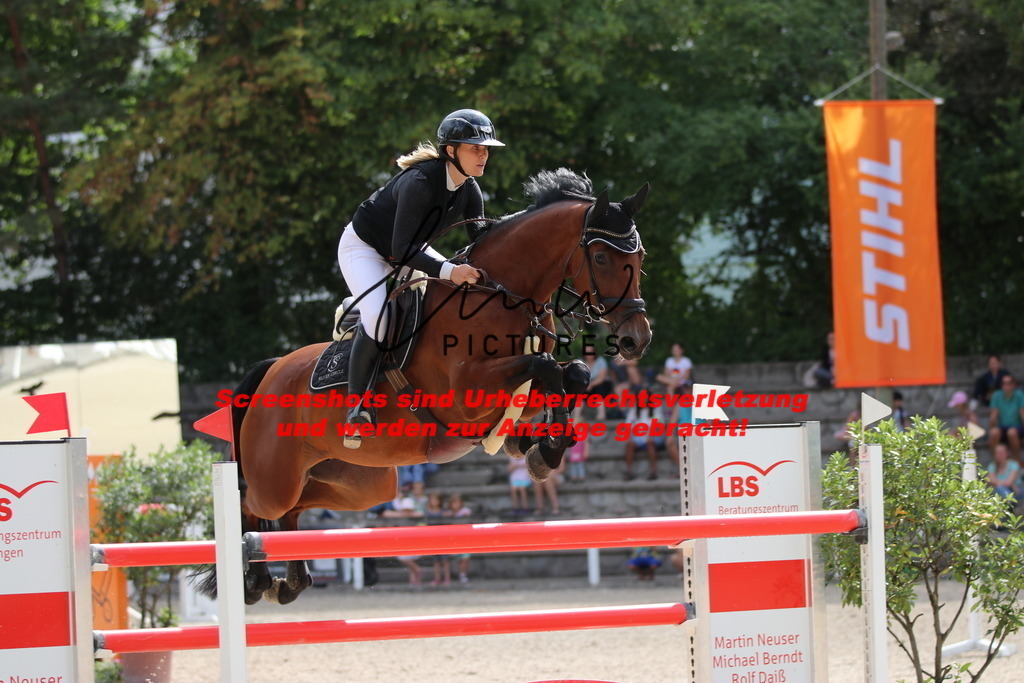 IMG_0631 | lmwpictures - Realisiert mit Pictrs.com