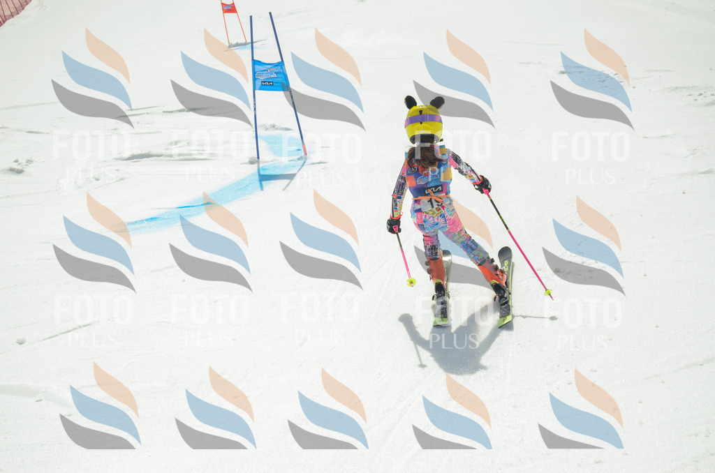 _ELE4715 | holidayphoto