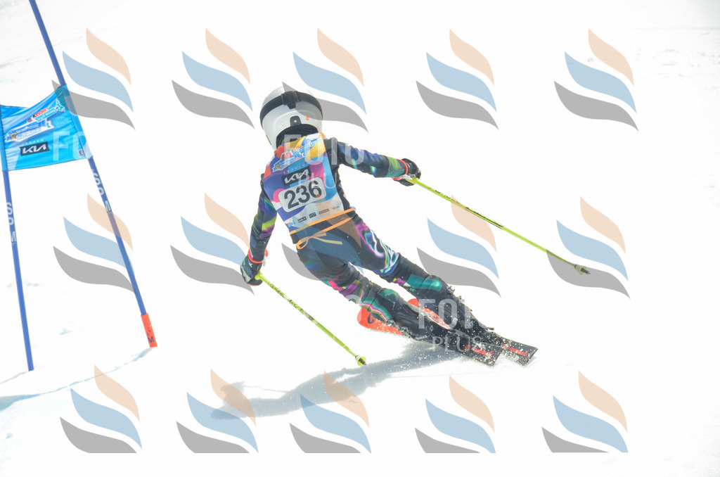 _ELE7383 | holidayphoto