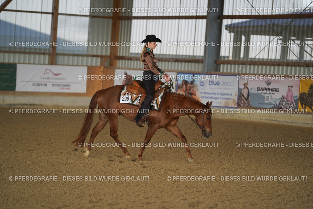 DSC08703 | Pferdegrafie