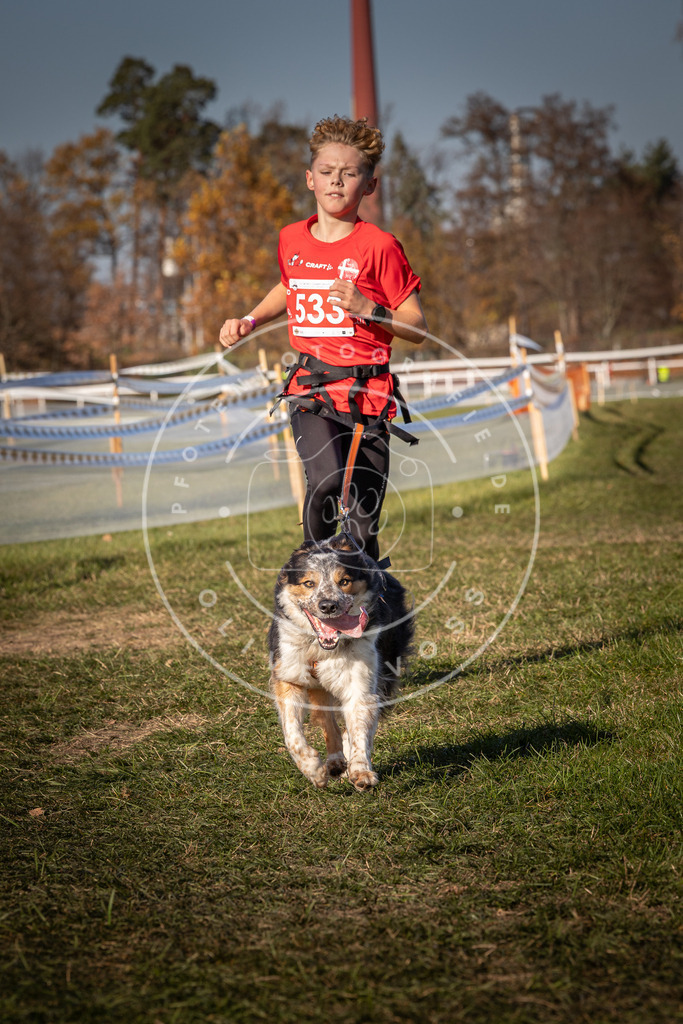 CaniXpix_0L8A7400 | Hundefotografie, Tierfotograf, Pfotenfotografie, Fotoshooting Hund, Hunde Portrait, Hundesport, Hundeportraits, Heideshooting, Hunde, Sportfotograf, Hundefotograf, Turnierhundsport, THS,  - Realisiert mit Pictrs.com
