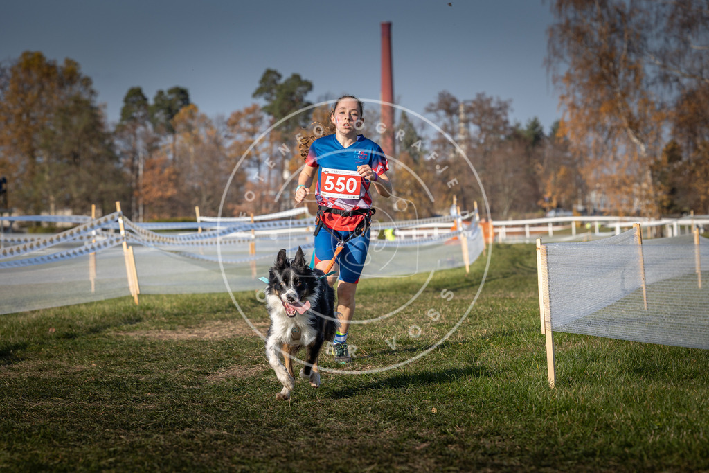 CaniXpix_0L8A9112 | Hundefotografie, Tierfotograf, Pfotenfotografie, Fotoshooting Hund, Hunde Portrait, Hundesport, Hundeportraits, Heideshooting, Hunde, Sportfotograf, Hundefotograf, Turnierhundsport, THS,  - Realisiert mit Pictrs.com