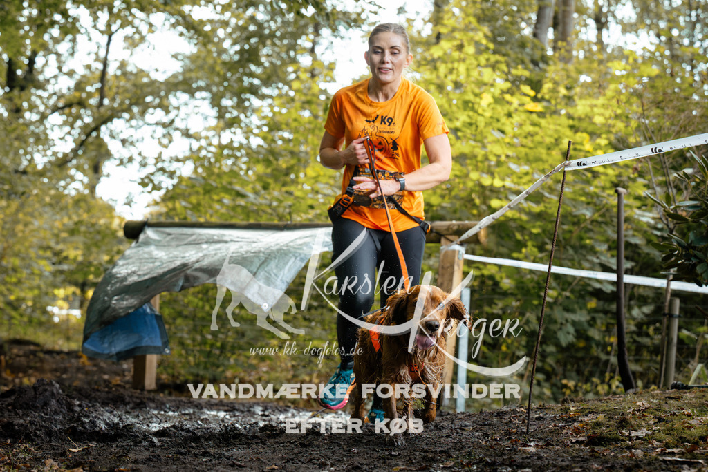1415DZ6_1304Z6 | kk-dogfotos