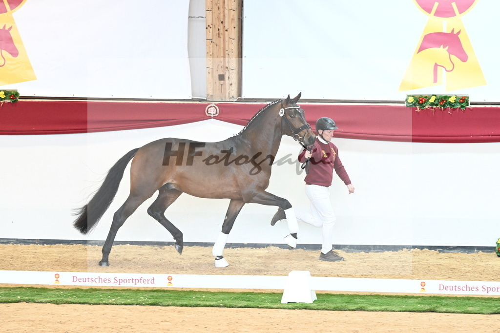 Kat.-Nr. 58 v. Monte Carlo TC_Fischer_2240840 | hf-fotografie - Realisiert mit Pictrs.com