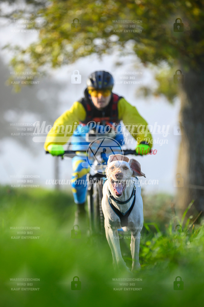 MompixPhotography_20TSB_E3_Bike-140 | PayLife