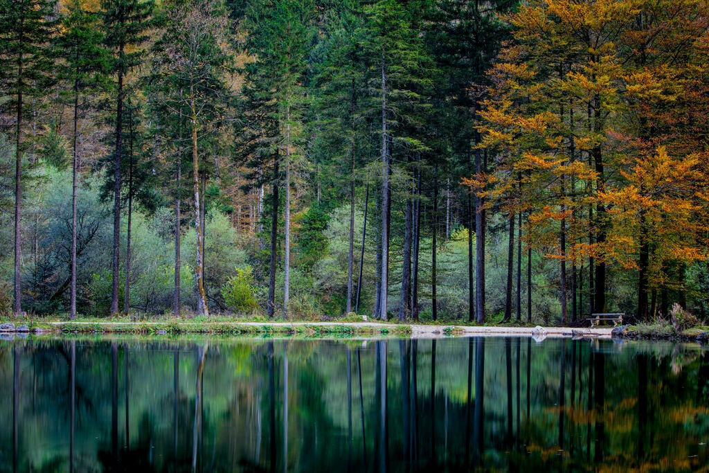 Landschaftsbilder_Landschaftsfotos_Kaufen_Wandbilder_Roman_-Huditsch-Fotografie_018_Waldidylle | Exklusiver Webshop für hochwertige Landschaftsfotos aus Kärnten, Österreich und der ganzen Welt.
Landschaftsfotos auf Leinwand, Acrylglas, Aludibond
Wandbilder online kaufen, fürs Zuhause oder als Geschenk zum Geburtstag, Weihnachten und mehr - Realisiert mit Pictrs.com