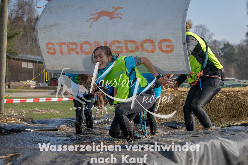 _ZZ91061 | kk-dogfotos