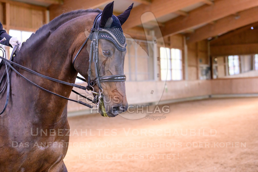 11042026-Mammendorf-Prfg28-2-0384 | Fokus Hufschlag Fotografie - Realisiert mit Pictrs.com