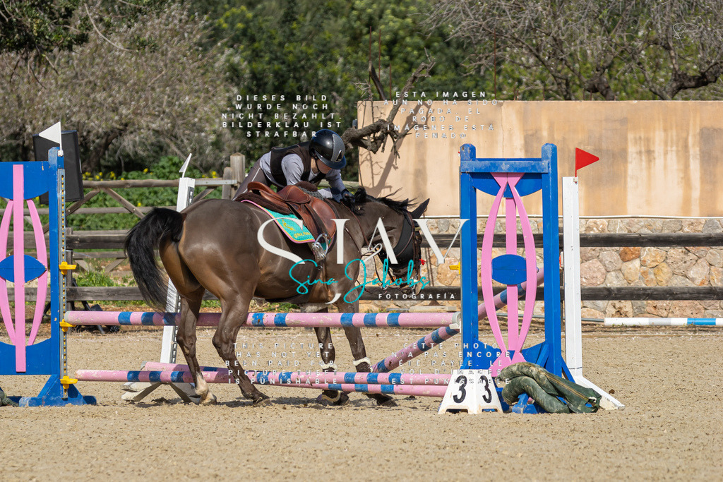 IMG_6749 | s-jay-photography - Realisiert mit Pictrs.com