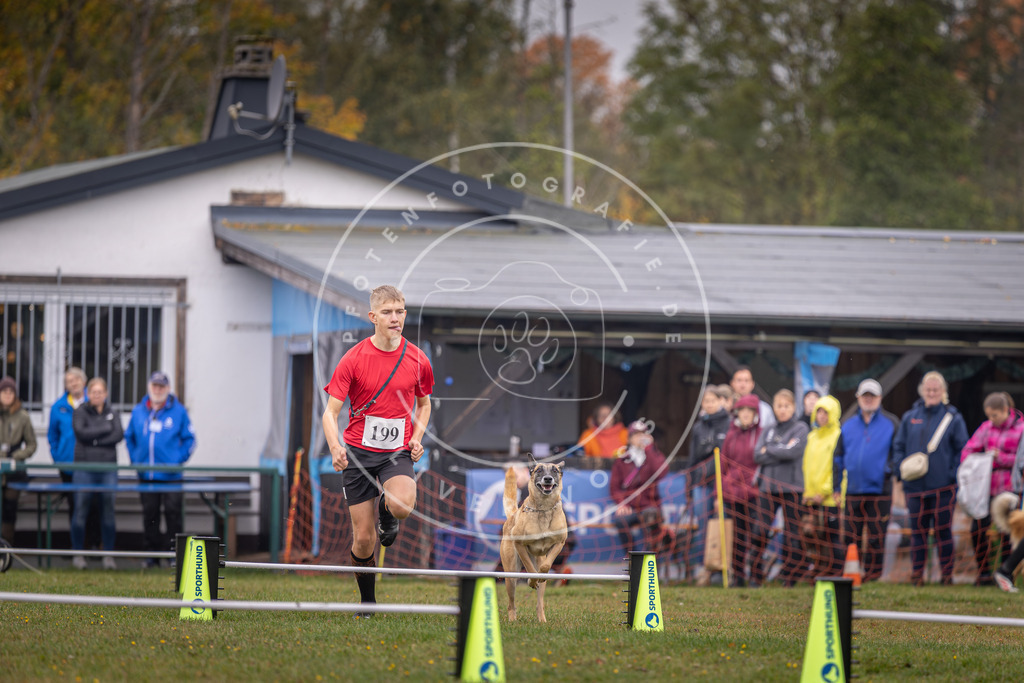 Pfotenfotografie_DV3A0798 | Hundefotografie, Tierfotograf, Pfotenfotografie, Fotoshooting Hund, Hunde Portrait, Hundesport, Hundeportraits, Heideshooting, Hunde, Sportfotograf, Hundefotograf, Turnierhundsport, THS,  - Realisiert mit Pictrs.com