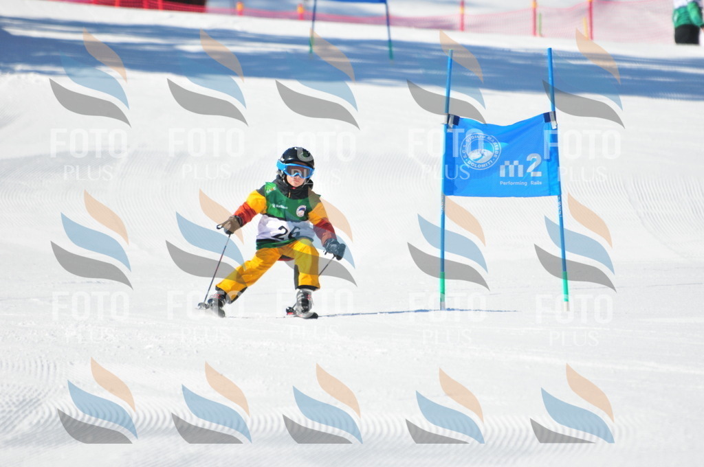 C2008 | holidayphoto