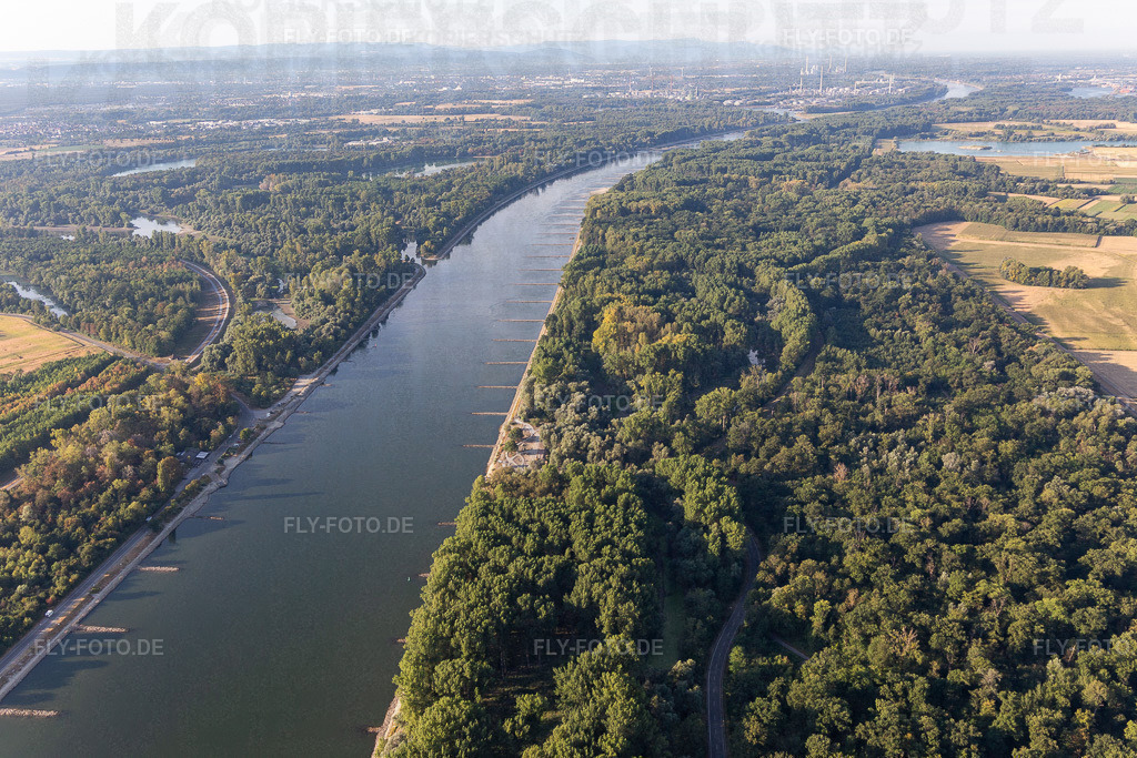 Trockengefallene Buhnen im Rhein bei Niedrigwasser | Luftbild: Trockengefallene Buhnen im Rhein bei Niedrigwasser in Leimersheim im Bundesland Rheinland-Pfalz in Deutschland. Foto: IMG_133717.jpg vom 14.08.2022 durch ©2025 Werner Riehm fly-foto.de/copyright - Realisiert mit Pictrs.com