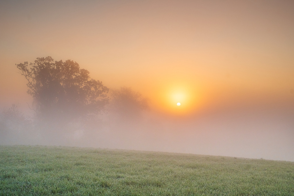 DSCF9928-Bearbeitet | Entdecken Sie hochwertige Fotoprodukte für Ihr Zuhause, Büro oder als besonderes Geschenk.rpixel.de bietet Ihnen exklusive Fotografien aus den Bereichen Natur, Landschaft und Motiven vom Meer.Einfach direkt im Online-Shop bestellen. - Realisiert mit Pictrs.com