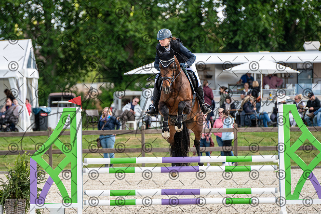 KPT_4997 | andre_photographic