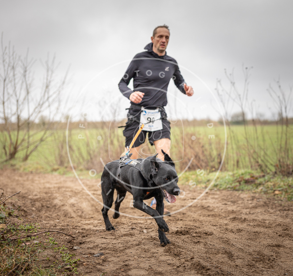 DV3A9971 | Hundefotografie, Tierfotograf, Pfotenfotografie, Fotoshooting Hund, Hunde Portrait, Hundesport, Hundeportraits, Heideshooting, Hunde, Sportfotograf, Hundefotograf, Turnierhundsport, THS,  - Realisiert mit Pictrs.com