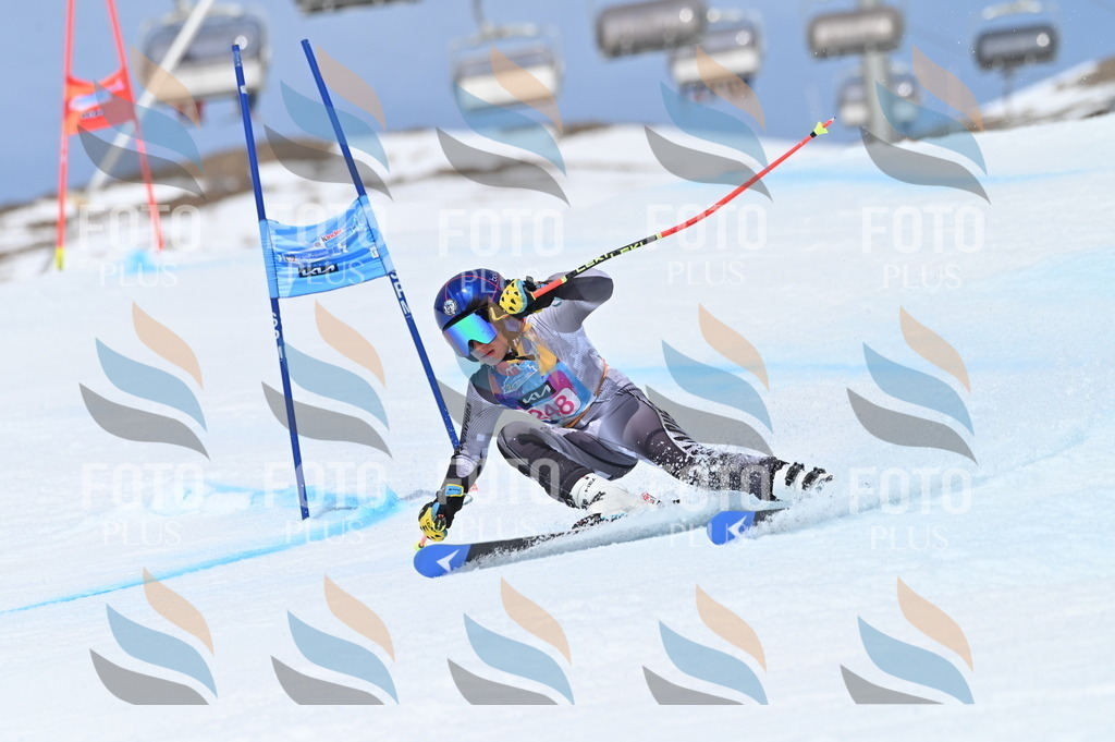 BGV_1843 | holidayphoto