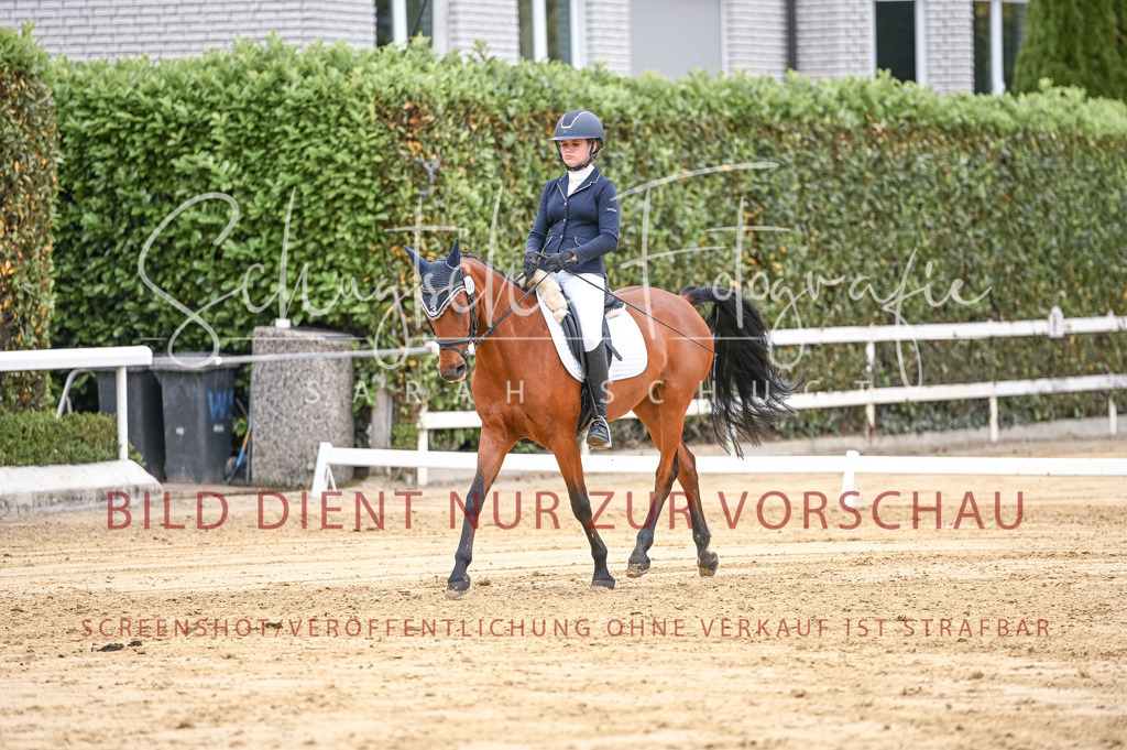 Schugtsche-Aluta25-42.EDressur -226 | Schugtsche Fotografie - Realisiert mit Pictrs.com