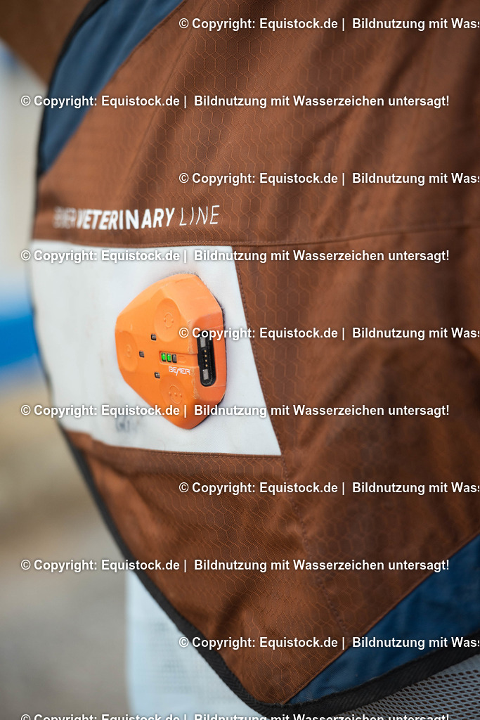 20200928_Bemer_Decke_0011 | equistock