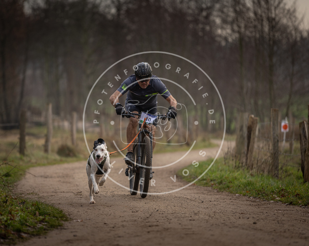 Pfotenfotografie_DV3A1723 | Hundefotografie, Tierfotograf, Pfotenfotografie, Fotoshooting Hund, Hunde Portrait, Hundesport, Hundeportraits, Heideshooting, Hunde, Sportfotograf, Hundefotograf, Turnierhundsport, THS,  - Realisiert mit Pictrs.com
