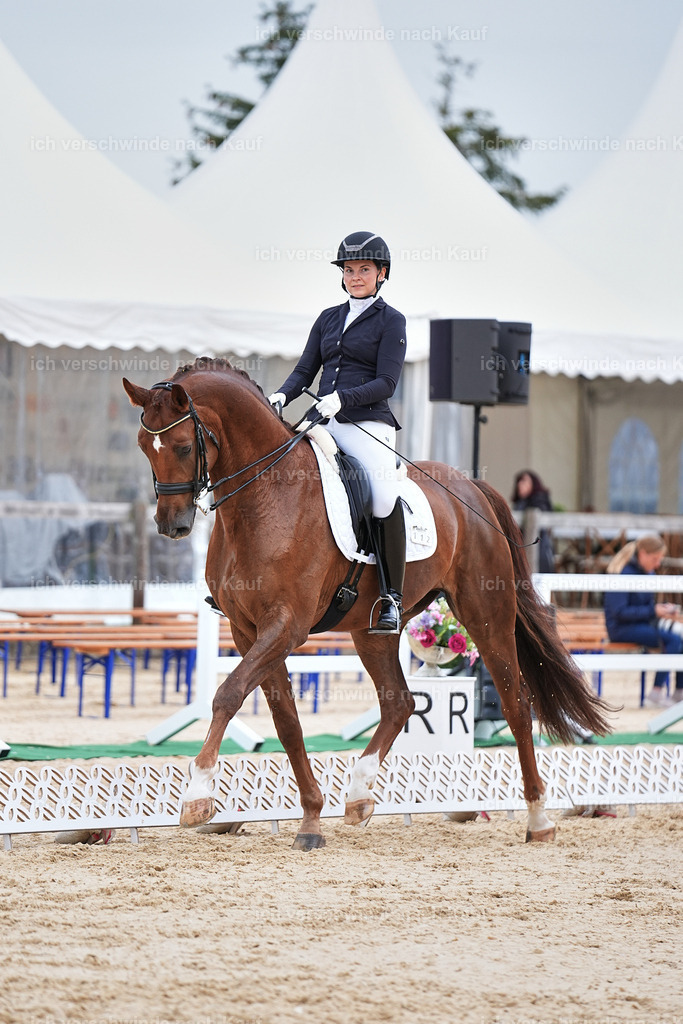 04_1-112-Dressur M__ -Marixx-2734 | working equitationturnier fotograf videograf stoibphotography marixx film working equitation deutschland reitsport turnierfotografie eventfotografie equestrian events