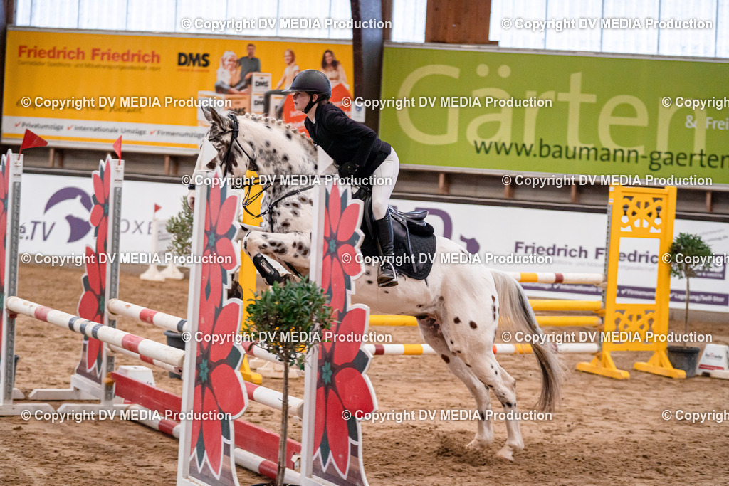 Kranichstein Tag 3-075 | dv-media-shop - Realisiert mit Pictrs.com