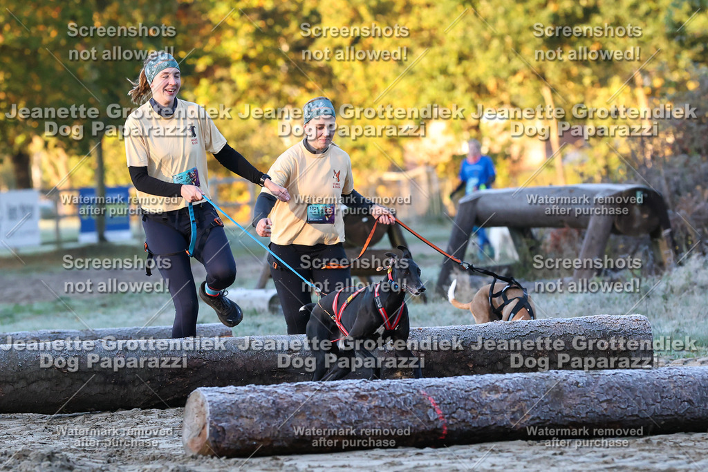 Dog Paparazzi - Strongdog 10-25-319 | Dog Paparazzi Jeanette Grottendiek Fotografie & Videografie - Realisiert mit Pictrs.com