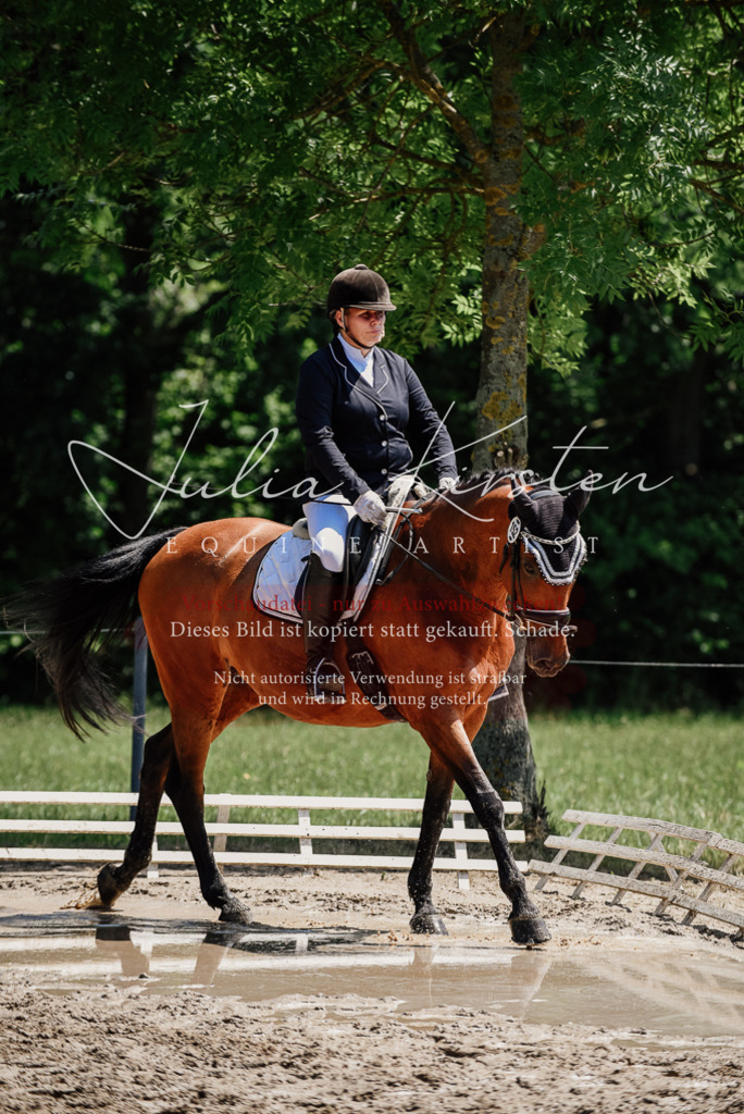 DSC_1975 | Pferde- und Turnierfotografie in Westsachsen. Pferdeportraits, Auftragszeichnungen und intuitive Kunst.