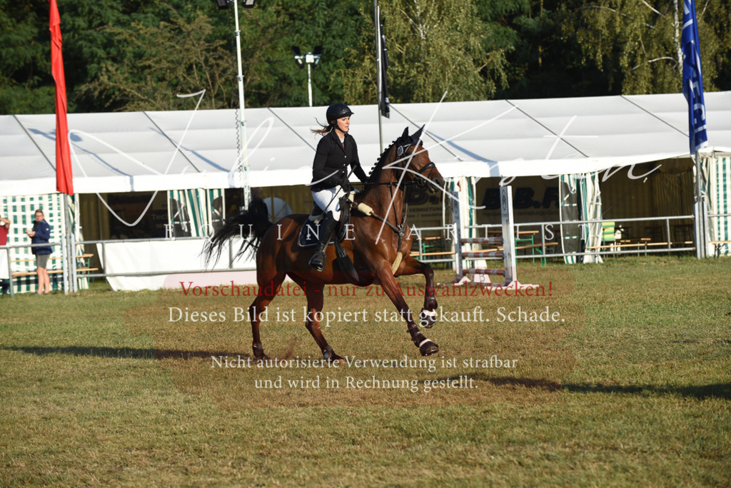 DSC_4853 | Pferde- und Turnierfotografie in Westsachsen. Pferdeportraits, Auftragszeichnungen und intuitive Kunst.