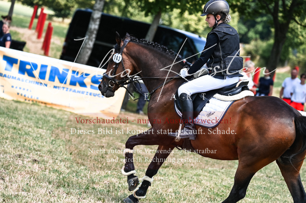 DSC_9658 | Pferde- und Turnierfotografie in Westsachsen. Pferdeportraits, Auftragszeichnungen und intuitive Kunst.