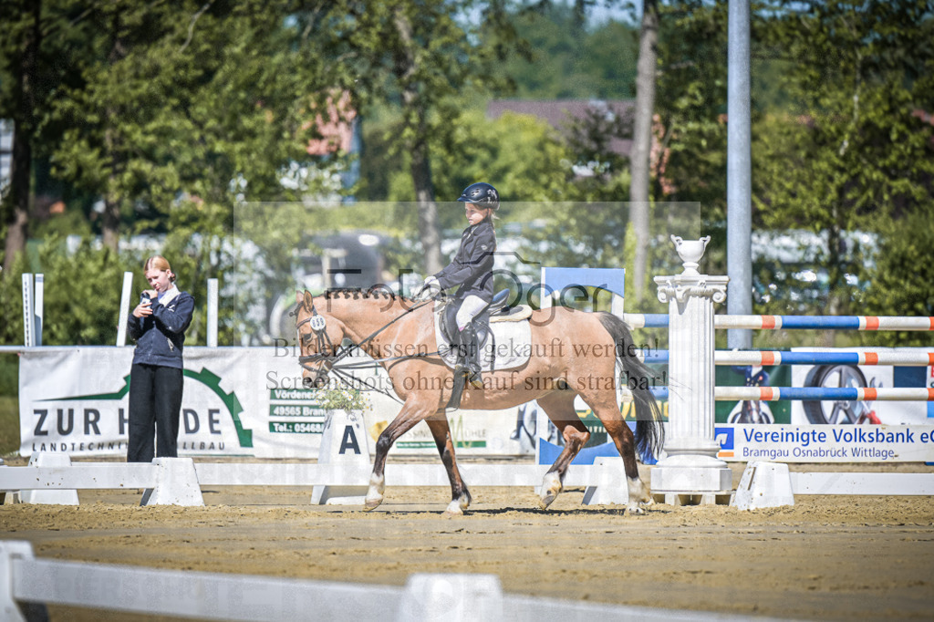 DOS_7774 | Entdecke hochwertige Reitturnierfotos von Foto Oger. Professionell, emotional und authentisch – jetzt Lieblingsmomente im Shop bestellen.Deutschlandweite Turnierfotografie. - Realisiert mit Pictrs.com