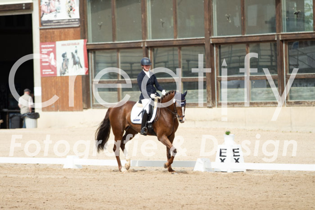 IMG_1605 | Creatify Fotografie