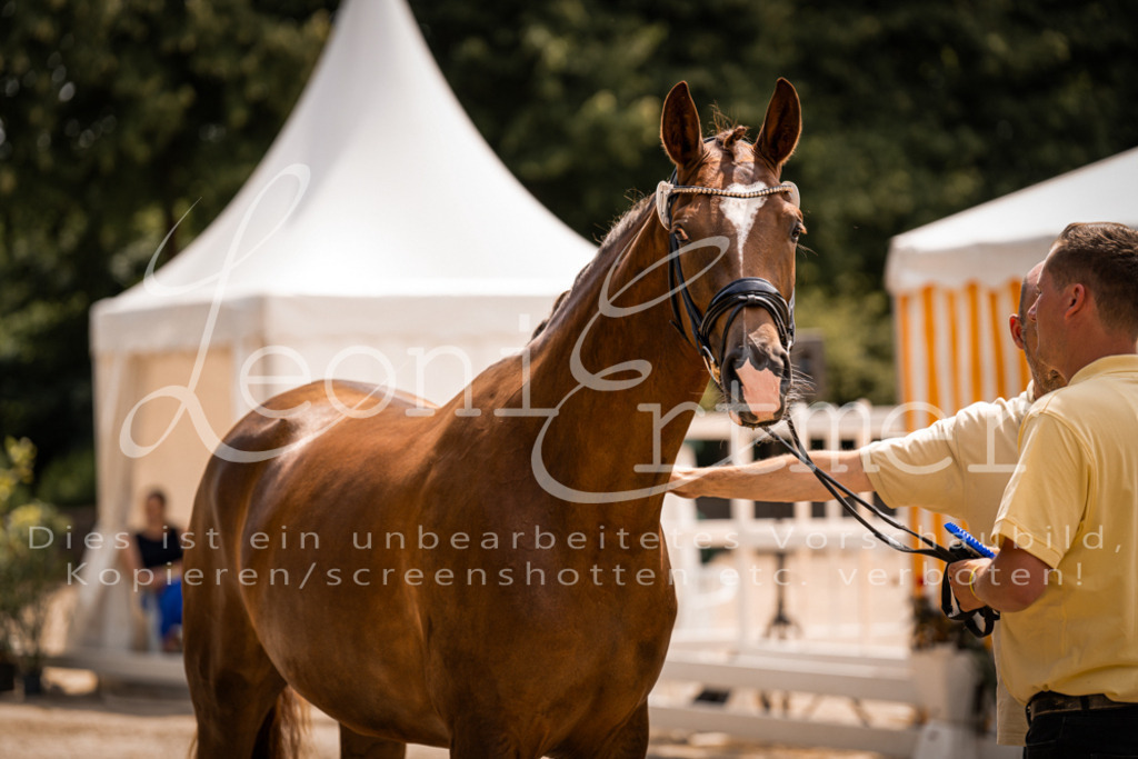 2. Fr00196 | Leoni Ertmer Photography - Realisiert mit Pictrs.com