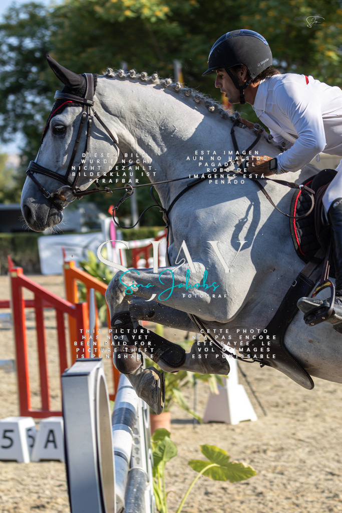 IMG_9550 | s-jay-photography - Realisiert mit Pictrs.com