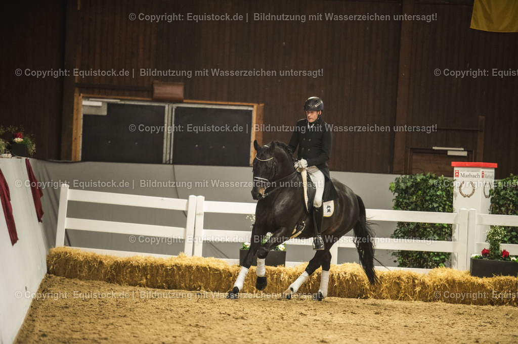 20240302_Hengstvorstellung_Marbach_TOMsPiC_1450 | equistock