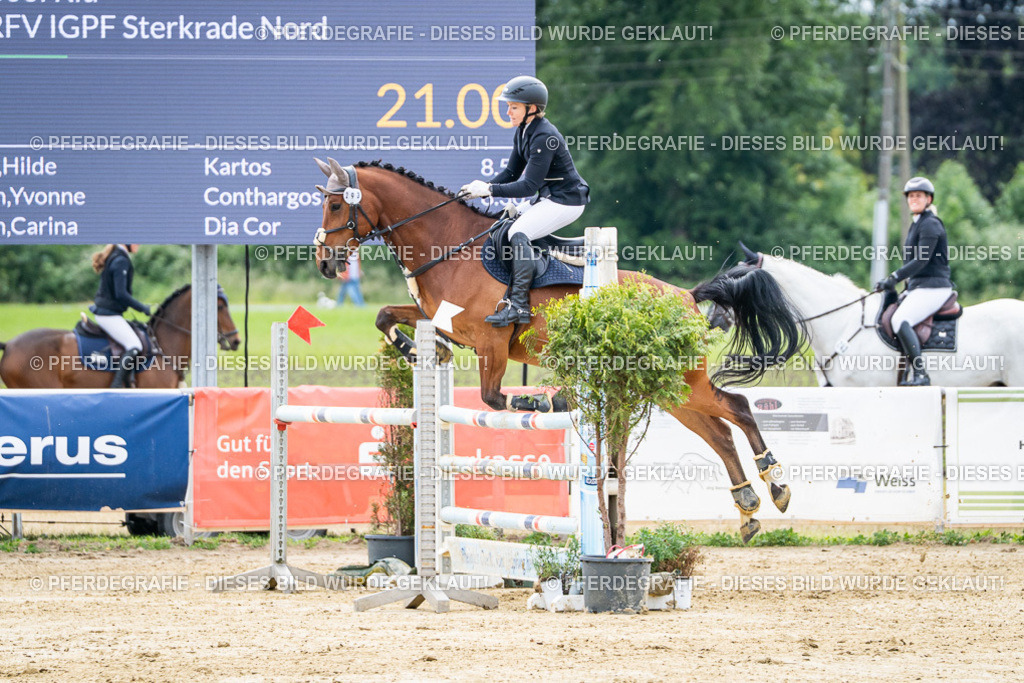 DSC05094 | Pferdegrafie