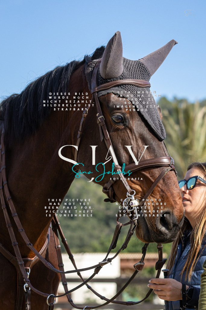 IMG_6851 | s-jay-photography - Realisiert mit Pictrs.com