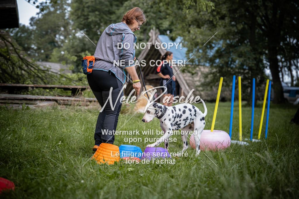 nelerasche_SoEarlyDog_109 | nelerasche
