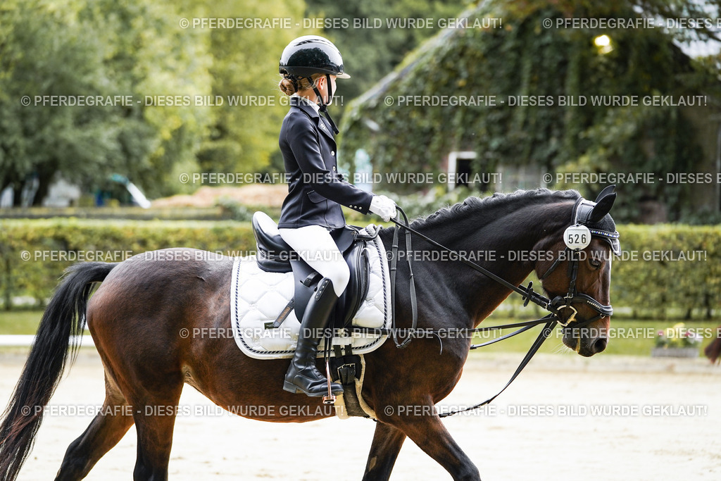 DSC05073 | Pferdegrafie