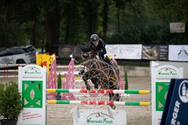 2B4A1806 | pixelfaenger - Realisiert mit Pictrs.com