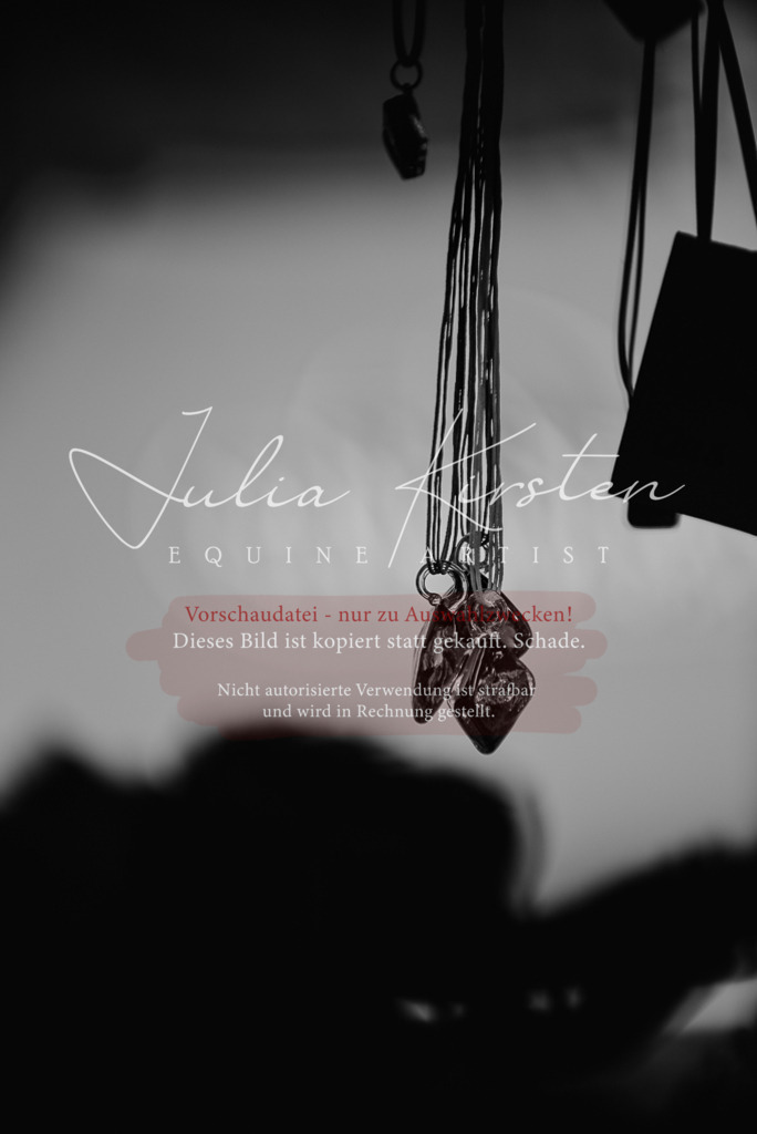 DSC_2661 | Pferde- und Turnierfotografie in Westsachsen. Pferdeportraits, Auftragszeichnungen und intuitive Kunst.