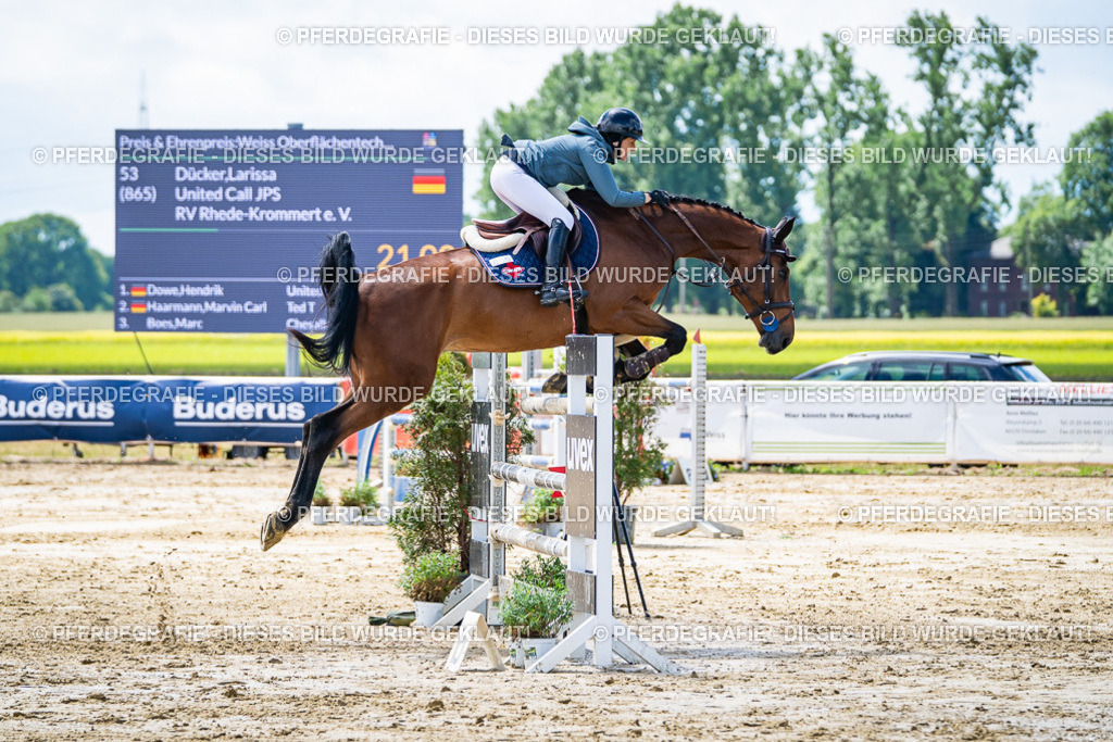 DSC04934 | Pferdegrafie