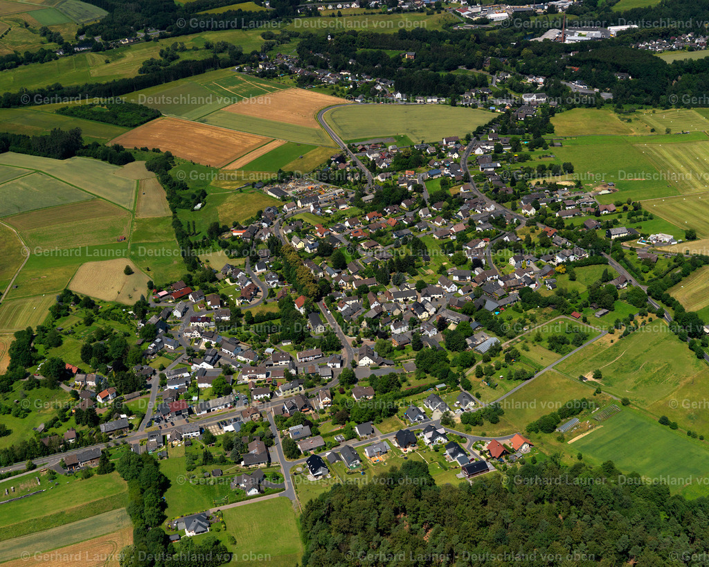 3105439 | Fluterschen